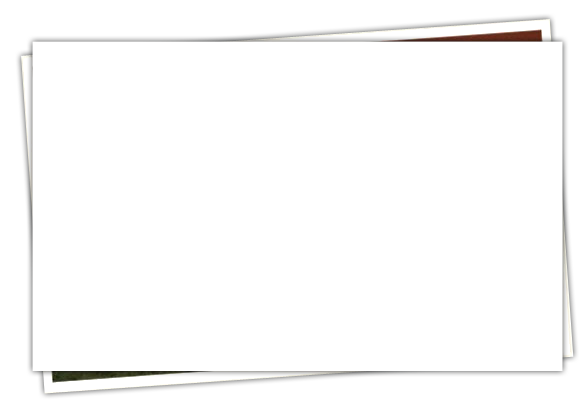 picture frame background